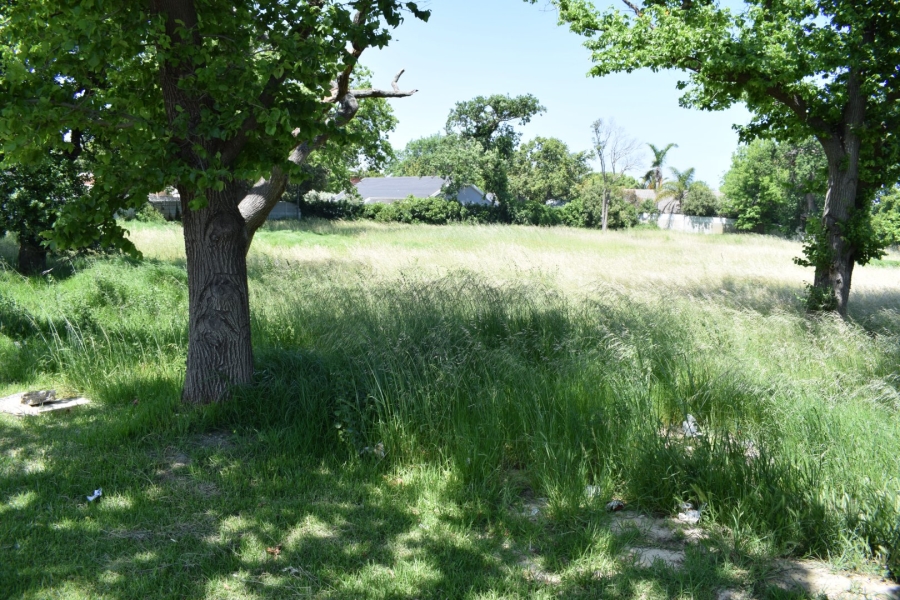 Commercial Property for Sale in Bridge Water Western Cape